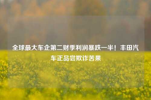 全球最大车企第二财季利润暴跌一半！丰田汽车正品尝欺诈苦果