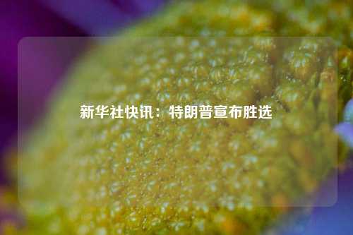 新华社快讯：特朗普宣布胜选