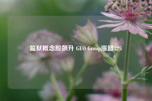 监狱概念股飙升 GEO Group涨超32%