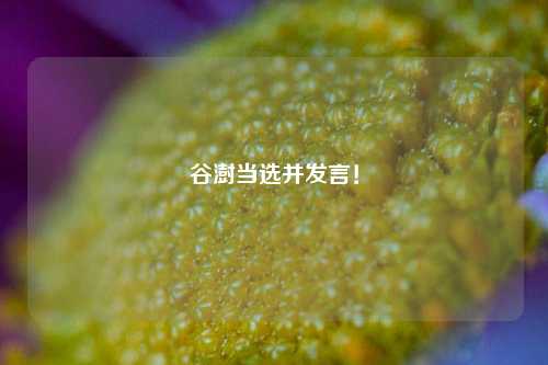 谷澍当选并发言！  第1张