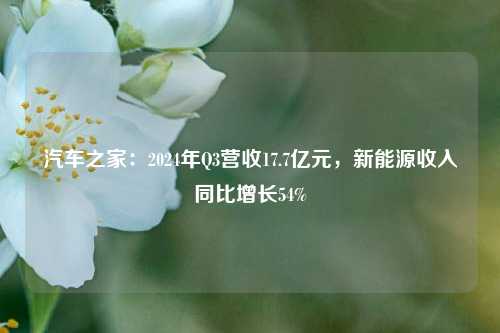 汽车之家：2024年Q3营收17.7亿元，新能源收入同比增长54%