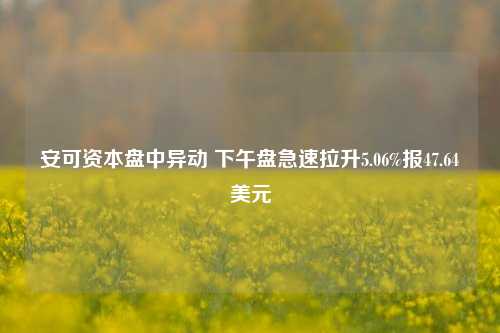 安可资本盘中异动 下午盘急速拉升5.06%报47.64美元