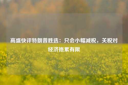 高盛快评特朗普胜选：只会小幅减税，关税对经济拖累有限  第1张