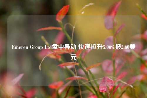 Emeren Group Ltd盘中异动 快速拉升5.06%报2.60美元  第1张