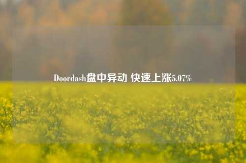 Doordash盘中异动 快速上涨5.07%