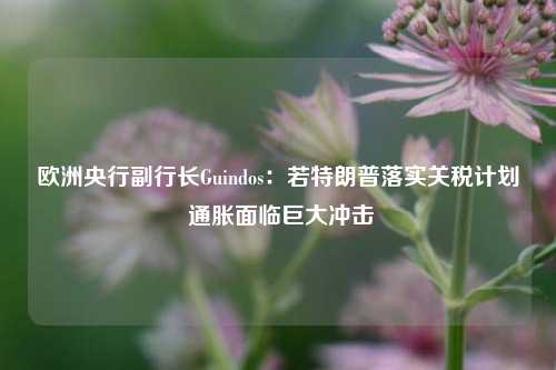 欧洲央行副行长Guindos：若特朗普落实关税计划 通胀面临巨大冲击