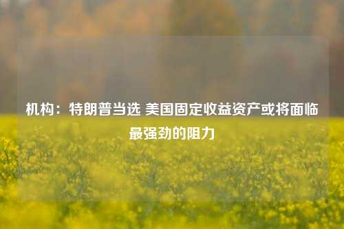 机构：特朗普当选 美国固定收益资产或将面临最强劲的阻力  第1张