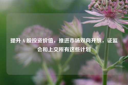 提升Ａ股投资价值，推进市场双向开放，证监会和上交所有这些计划