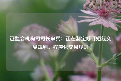 证监会机构司司长申兵：正在制定修订短线交易规则、程序化交易规则