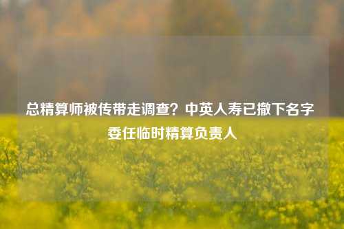 总精算师被传带走调查？中英人寿已撤下名字 委任临时精算负责人