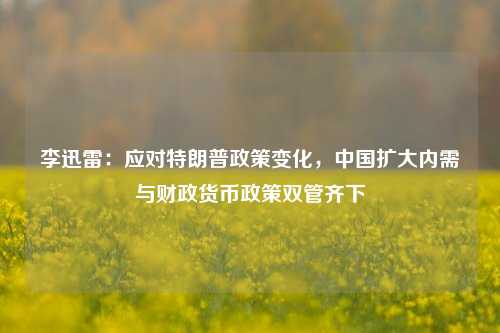 李迅雷：应对特朗普政策变化，中国扩大内需与财政货币政策双管齐下