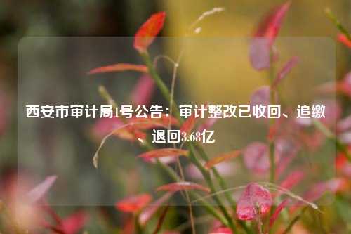 西安市审计局1号公告：审计整改已收回、追缴、退回3.68亿  第1张