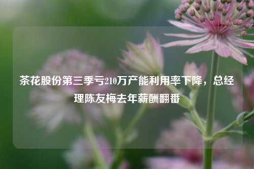 茶花股份第三季亏210万产能利用率下降，总经理陈友梅去年薪酬翻番-第1张图片-特色小吃做法