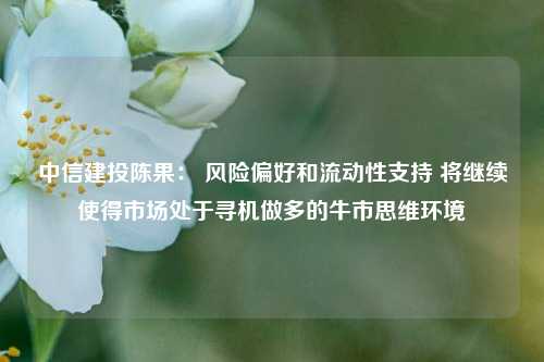 中信建投陈果： 风险偏好和流动性支持 将继续使得市场处于寻机做多的牛市思维环境-第1张图片-特色小吃做法