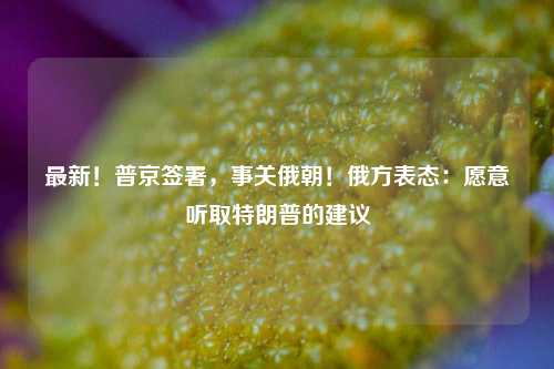 最新！普京签署，事关俄朝！俄方表态：愿意听取特朗普的建议-第1张图片-特色小吃做法