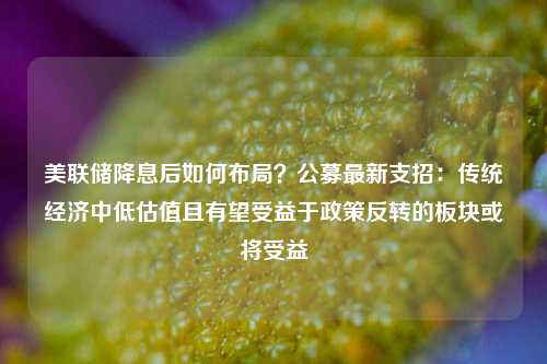 美联储降息后如何布局？公募最新支招：传统经济中低估值且有望受益于政策反转的板块或将受益-第1张图片-特色小吃做法