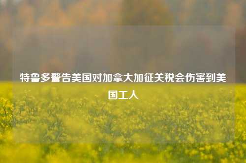 特鲁多警告美国对加拿大加征关税会伤害到美国工人-第1张图片-特色小吃做法