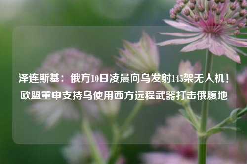 泽连斯基：俄方10日凌晨向乌发射145架无人机！欧盟重申支持乌使用西方远程武器打击俄腹地-第1张图片-特色小吃做法