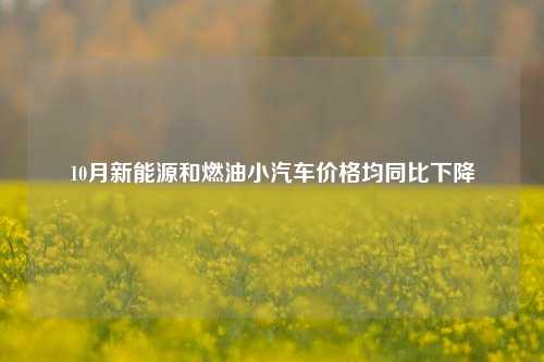 10月新能源和燃油小汽车价格均同比下降-第1张图片-特色小吃做法