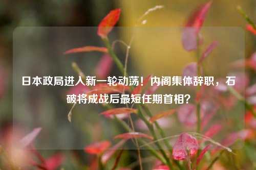 日本政局进入新一轮动荡！内阁集体辞职，石破将成战后最短任期首相？-第1张图片-特色小吃做法