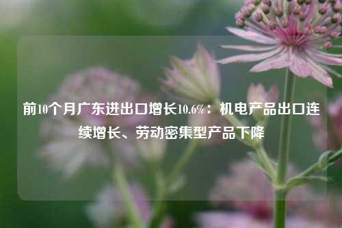 前10个月广东进出口增长10.6%：机电产品出口连续增长、劳动密集型产品下降-第1张图片-特色小吃做法