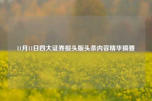 11月11日四大证券报头版头条内容精华摘要-第1张图片-特色小吃做法