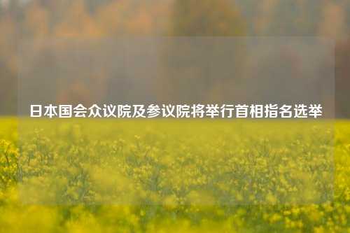 日本国会众议院及参议院将举行首相指名选举-第1张图片-特色小吃做法