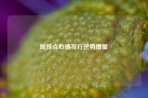 城投点心债发行逆势增量-第1张图片-特色小吃做法