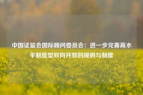 中国证监会国际顾问委员会：进一步完善高水平制度型双向开放的规则与制度-第1张图片-特色小吃做法