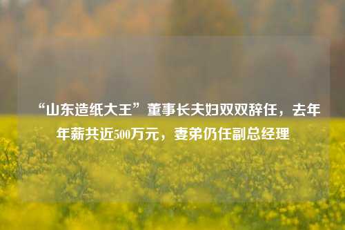 “山东造纸大王”董事长夫妇双双辞任，去年年薪共近500万元，妻弟仍任副总经理-第1张图片-特色小吃做法