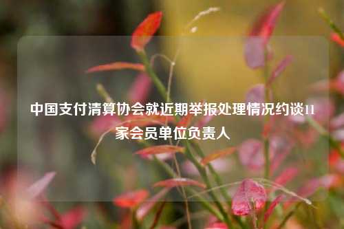 中国支付清算协会就近期举报处理情况约谈11家会员单位负责人-第1张图片-特色小吃做法