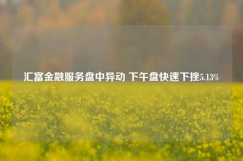 汇富金融服务盘中异动 下午盘快速下挫5.13%-第1张图片-特色小吃做法