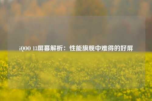 iQOO 13屏幕解析：性能旗舰中难得的好屏-第1张图片-特色小吃做法