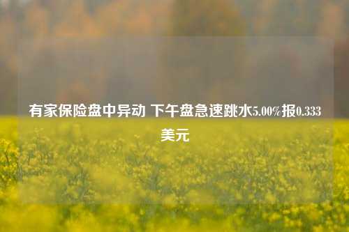 有家保险盘中异动 下午盘急速跳水5.00%报0.333美元-第1张图片-特色小吃做法