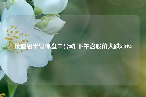 莱迪思半导体盘中异动 下午盘股价大跌5.04%-第1张图片-特色小吃做法