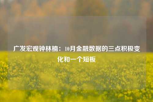 广发宏观钟林楠：10月金融数据的三点积极变化和一个短板-第1张图片-特色小吃做法