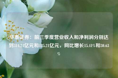 华泰证券：前三季度营业收入和净利润分别达到314.24亿元和125.21亿元，同比增长15.41%和30.63%-第1张图片-特色小吃做法