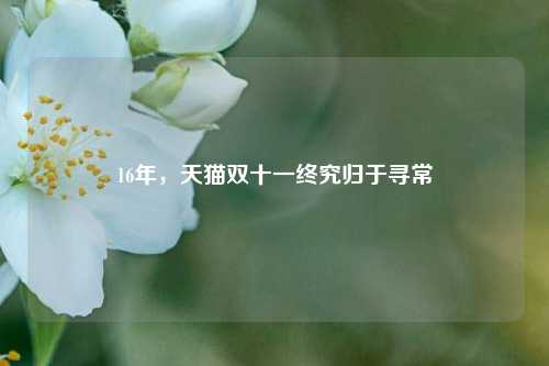 16年，天猫双十一终究归于寻常-第1张图片-特色小吃做法