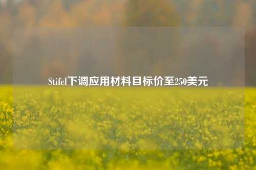 Stifel下调应用材料目标价至250美元-第1张图片-特色小吃做法