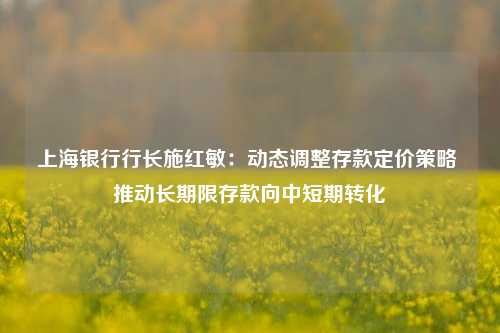 上海银行行长施红敏：动态调整存款定价策略 推动长期限存款向中短期转化-第1张图片-特色小吃做法