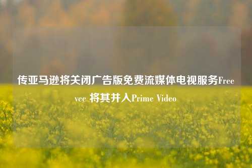 传亚马逊将关闭广告版免费流媒体电视服务Freevee 将其并入Prime Video-第1张图片-特色小吃做法