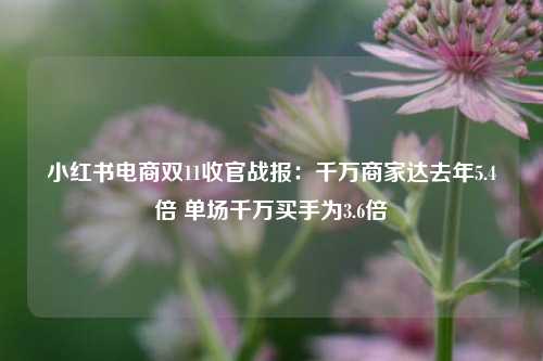 小红书电商双11收官战报：千万商家达去年5.4倍 单场千万买手为3.6倍-第1张图片-特色小吃做法