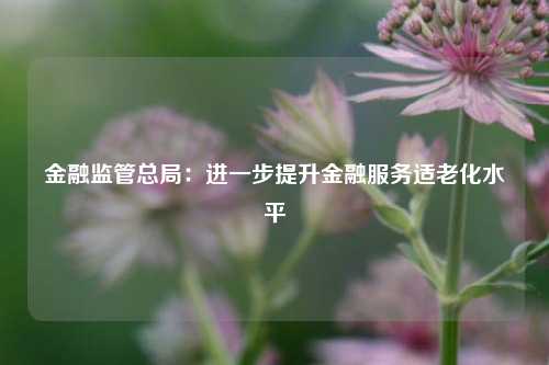 金融监管总局：进一步提升金融服务适老化水平  第1张