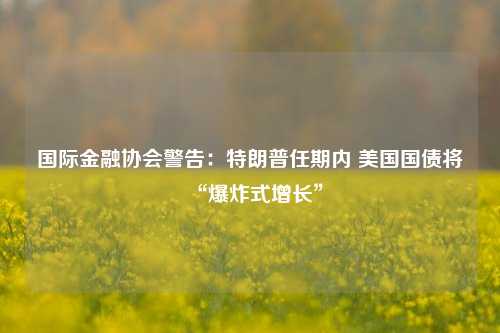 国际金融协会警告：特朗普任期内 美国国债将“爆炸式增长”-第1张图片-特色小吃做法