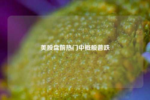 美股盘前热门中概股普跌-第1张图片-特色小吃做法