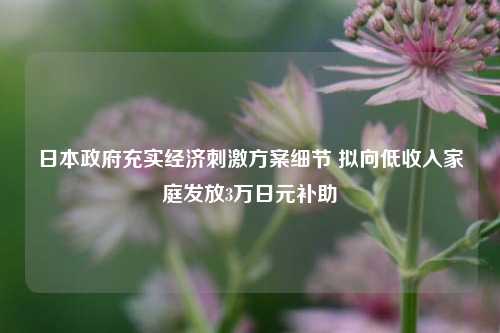 日本政府充实经济刺激方案细节 拟向低收入家庭发放3万日元补助  第1张