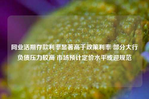 同业活期存款利率显著高于政策利率 部分大行负债压力较高 市场预计定价水平或迎规范