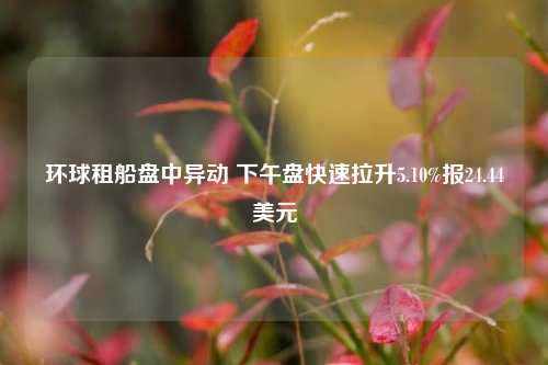 环球租船盘中异动 下午盘快速拉升5.10%报24.44美元-第1张图片-特色小吃做法