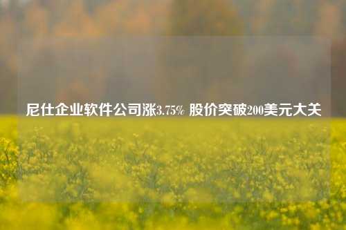 尼仕企业软件公司涨3.75% 股价突破200美元大关-第1张图片-特色小吃做法