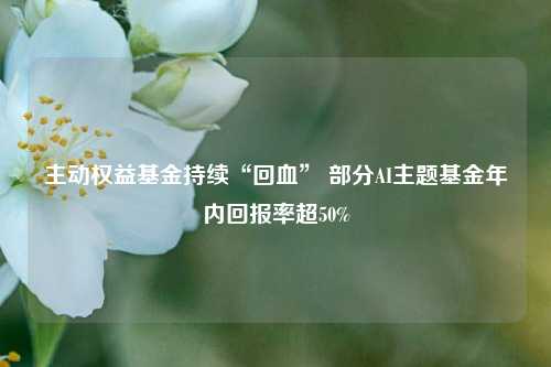 主动权益基金持续“回血” 部分AI主题基金年内回报率超50%-第1张图片-特色小吃做法